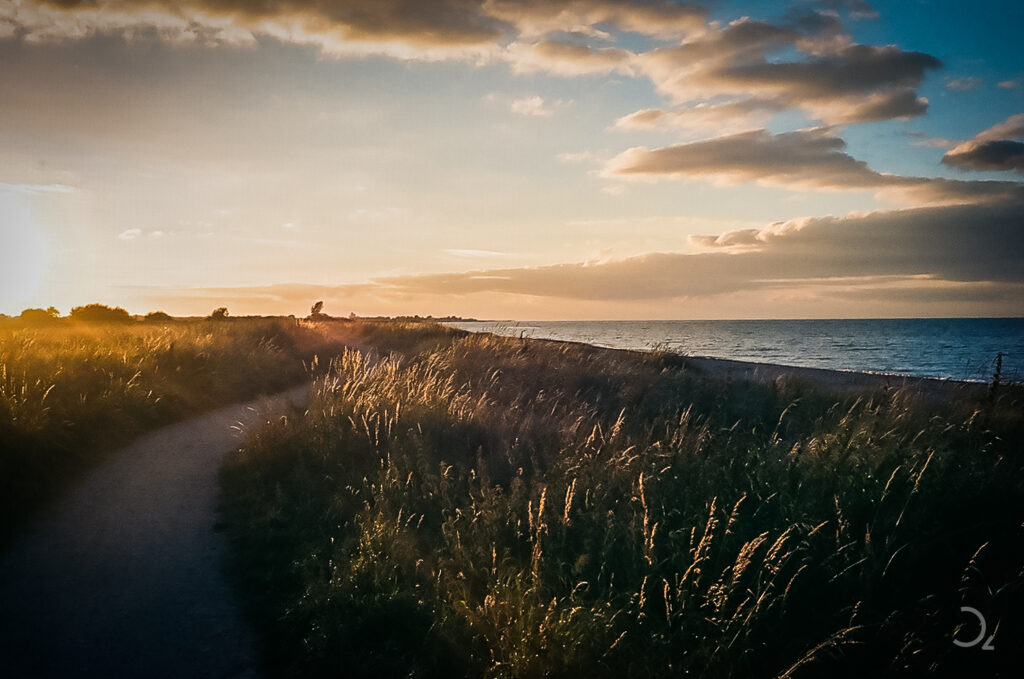 Dieses Bild zeigt eine ruhige Landschaft in der Abendsonne, die das Feld in warmes, goldenes Licht taucht. Ein einzelner Baum steht am Horizont, der Himmel ist von verstreuten Wolken durchzogen. Die weichen, sanften Farbverläufe und das Streulicht erzeugen eine nostalgische Atmosphäre, die an den Lomografie-Stil erinnert. Die Szene vermittelt ein Gefühl von Stille und Einsamkeit in der Weite der Natur.