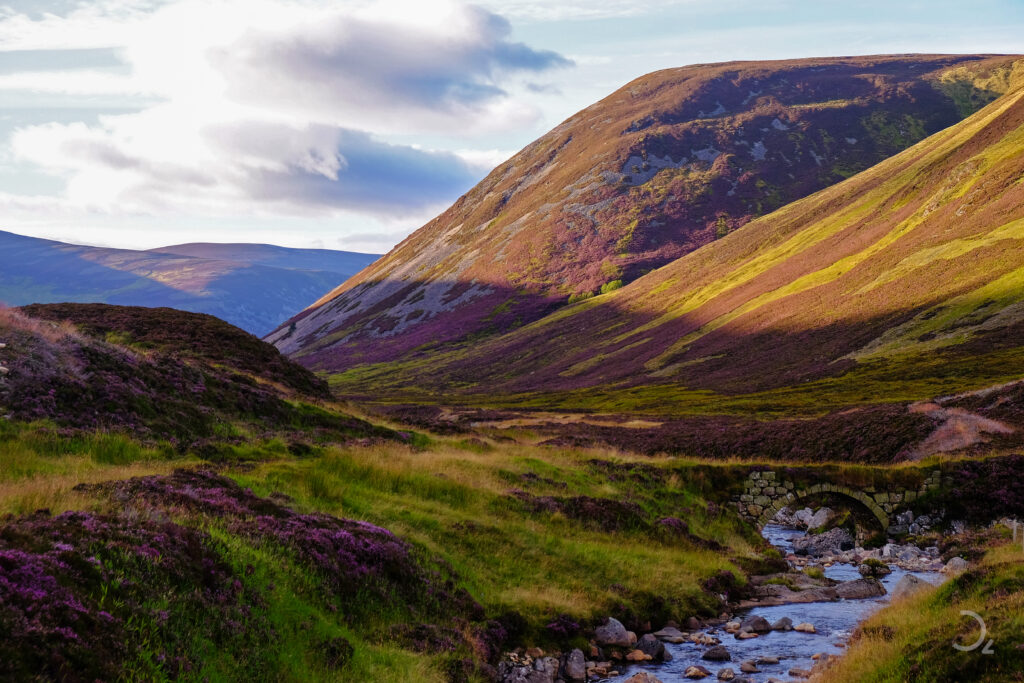 Dieses Bild fängt die Schönheit der schottischen Highlands perfekt ein. Die sanften Hügel sind mit violettem Heidekraut überzogen, das für Schottland so typisch ist und im Sommer und Herbst in voller Blüte steht. Ein kleiner Bach schlängelt sich durch das Tal und wird von einer alten Steinbrücke überspannt, die dem Bild eine zeitlose Qualität verleiht. Die weichen Lichtstrahlen und die natürlichen Farben verleihen der Landschaft eine friedliche und mystische Atmosphäre, die typisch für die schottische Wildnis ist.